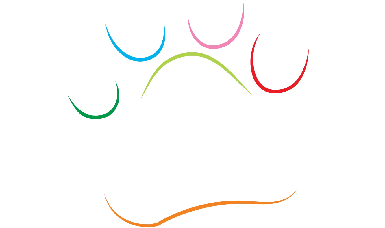 Mundo Animal